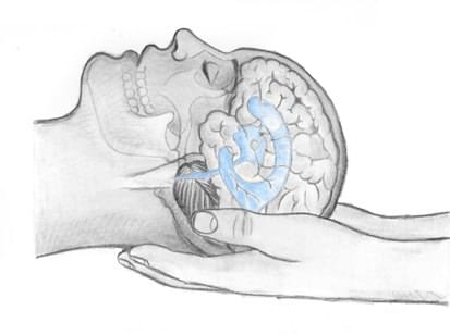 osteopathy course 2